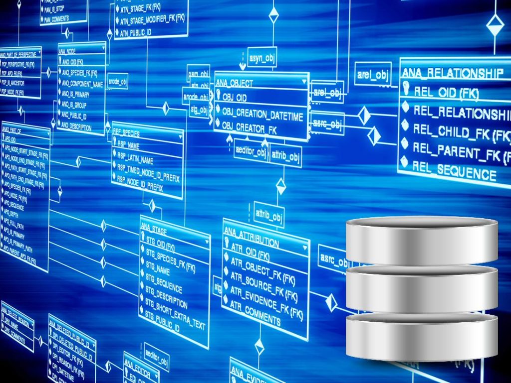 Pengertian Database dalam Pemrograman  ifabula academy